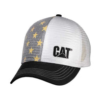 Thumbnail for CT2482 Cat Golden Cap