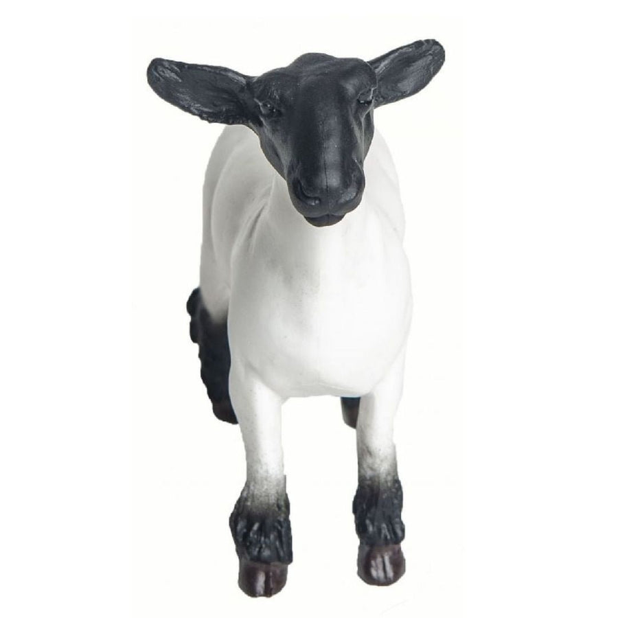 Cordero Big Beatty Escala 1:16 - KATZER