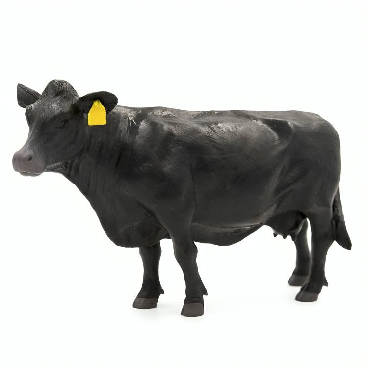 Vaca Angus Escala 1:16 - KATZER